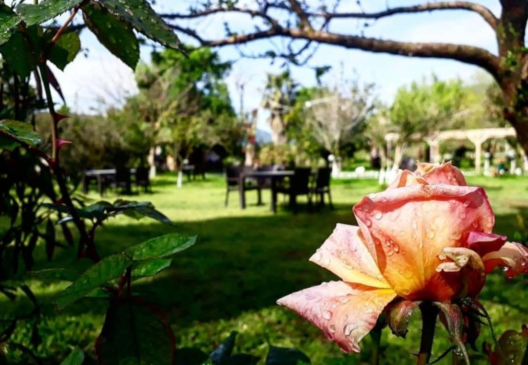 Otantik Tas Ev Bed & Breakfast Dalaman Luaran gambar