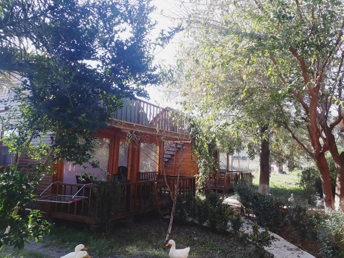 Otantik Tas Ev Bed & Breakfast Dalaman Luaran gambar